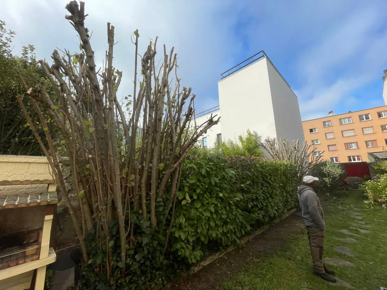 Élagage de haie par un professionnel - SARL Herry