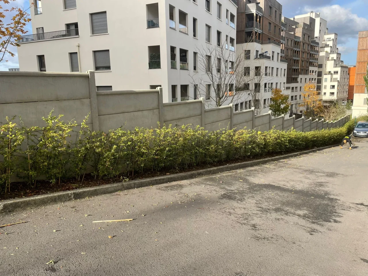 Élagage de haie en extérieur - SARL Herry