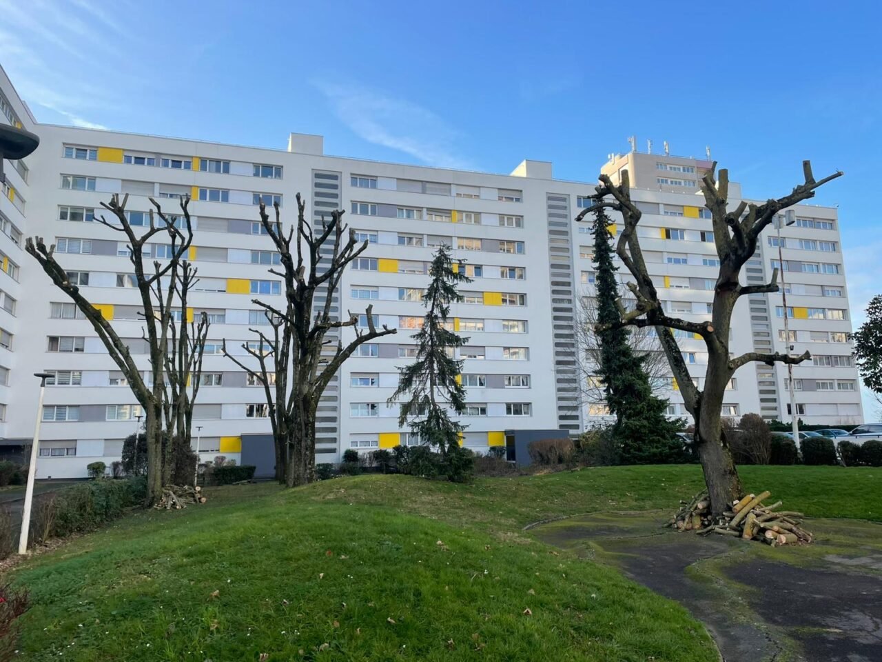 Elagage severe - SARL Herry