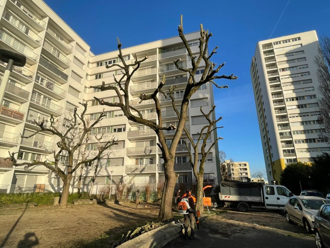 Elagage severe residence - SARL Herry