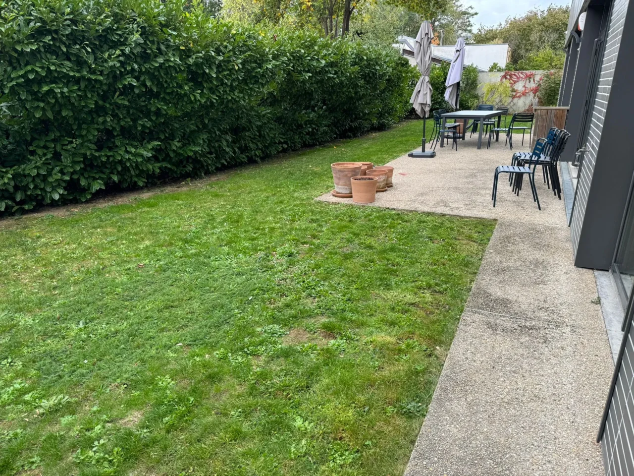 Haie parfaitement taillée par SARL Herry - SARL Herry