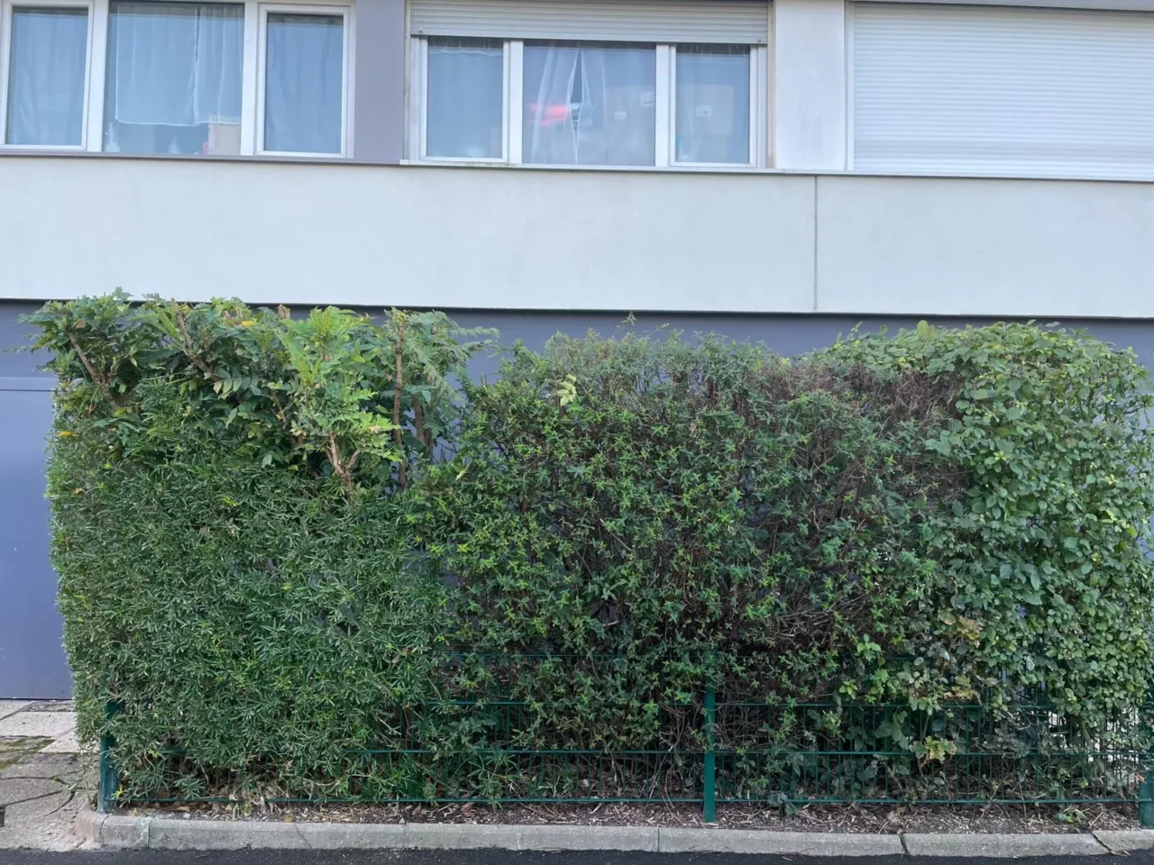 Espaces verts soignés par SARL Herry - SARL Herry