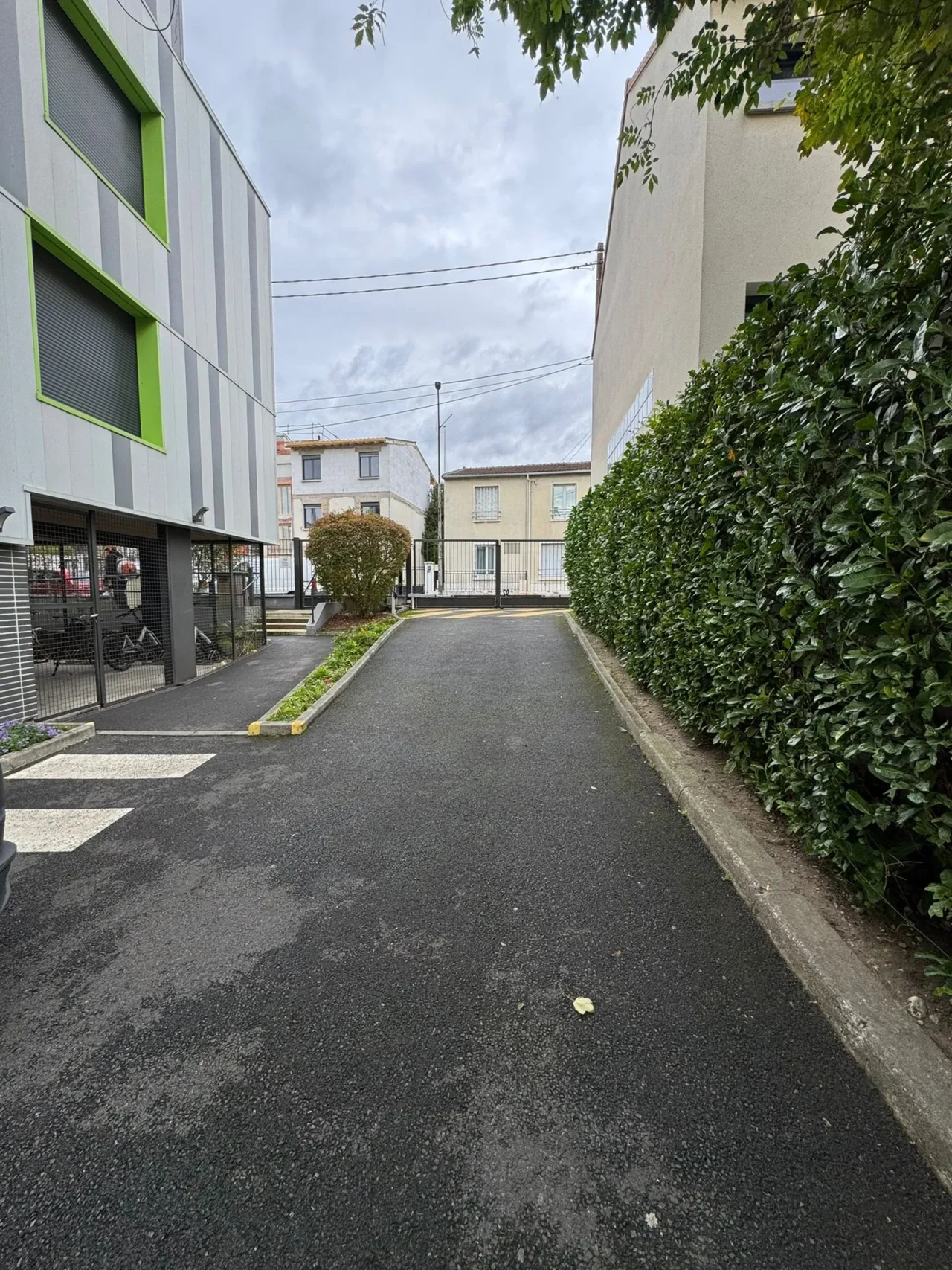 Haie taillée par SARL Herry - SARL Herry