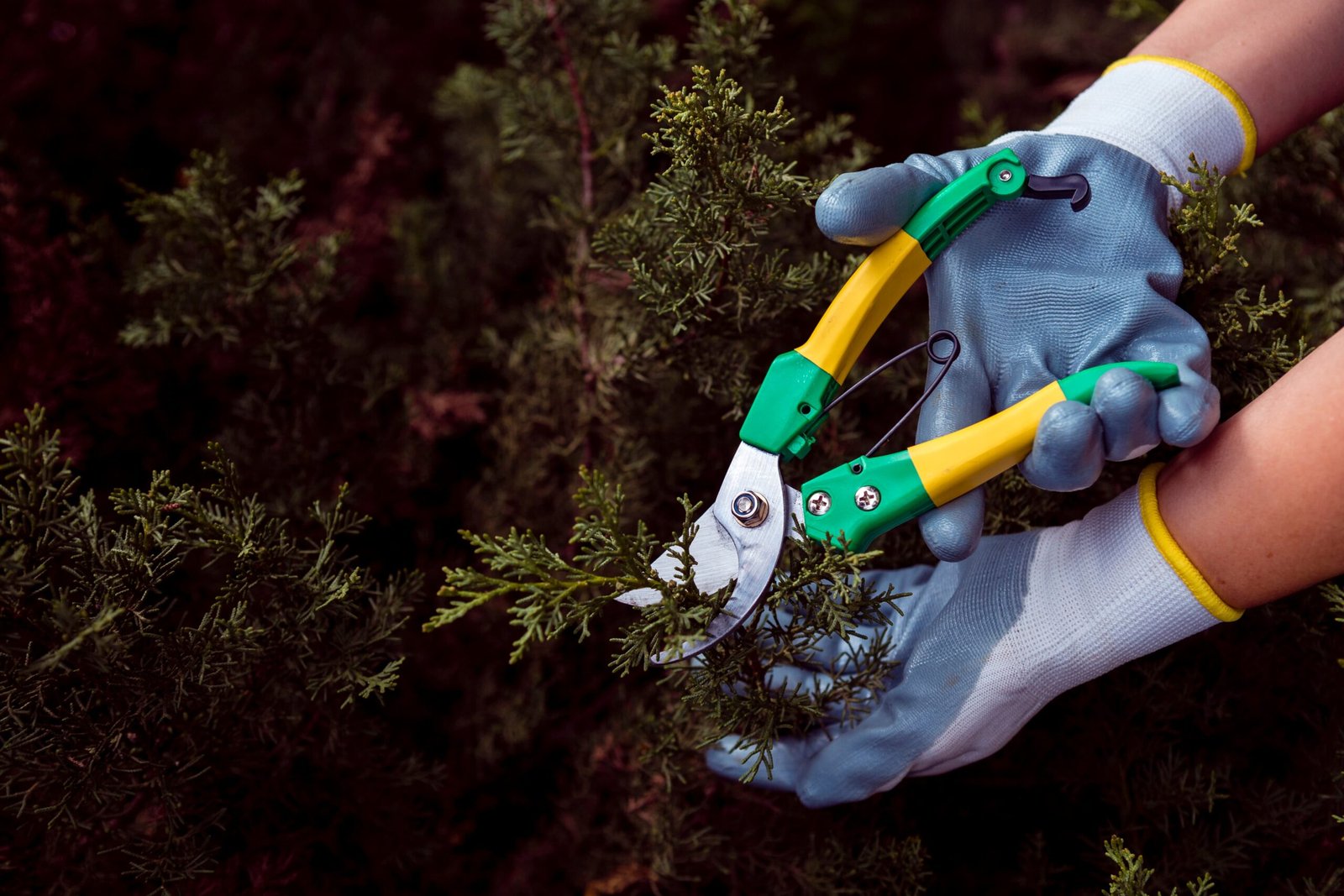 Espace vert entretenu par des professionnels - SARL Herry